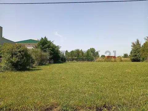 Terreno en Venta 20  mts Frente