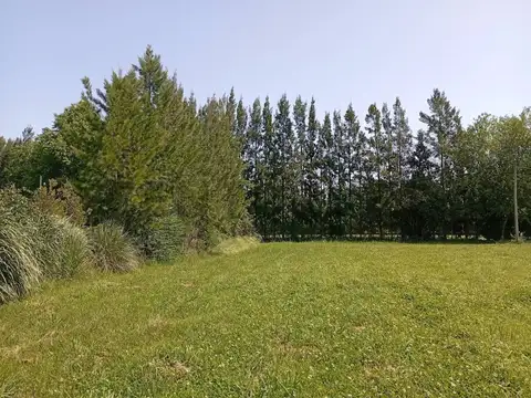 Terreno en Venta 45  mts Fondo