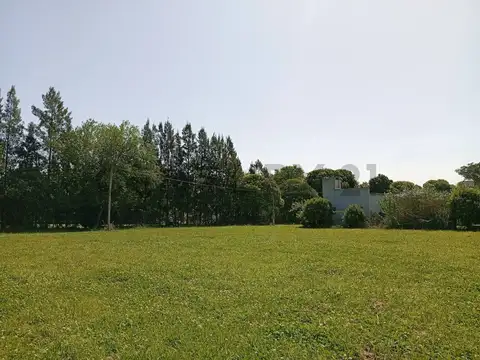 192 y 70. TERRENO EN VENTA DE 900M2, LISANDRO OLMOS.