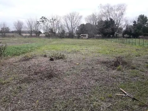 Pte. Juan Domingo Peron 100