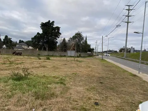 LOTE VENTA COLECTORA KM 54,5