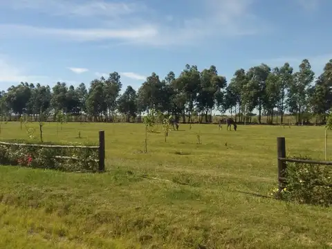 Terreno en Venta en Esquina, USD 7.500