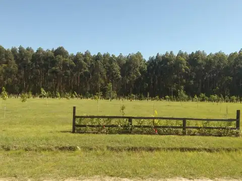 Terreno en Venta, FOT 1