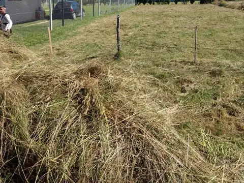 Belgrano entre J.M Landa y Las Heras