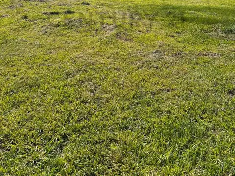 Terreno en Venta de 312,5 m2