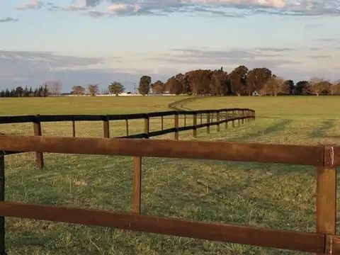 Terreno en Venta de 15612,0 m2