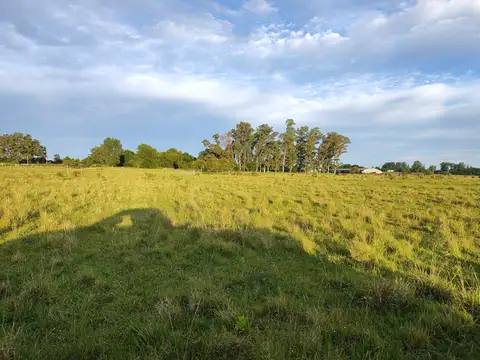 Campo en venta en Villa Elisa