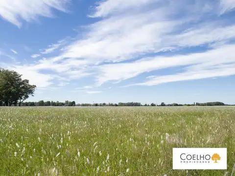 Terreno en venta en Carmen De Areco - Chacras de la Alameda