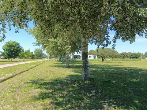 Terreno en Venta en Fincas de San Vicente, USD 19.000