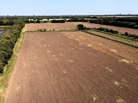 VENTA CAMPO 11 HAS CAMINO 60 CUADRAS KM 11 Y MEDIO