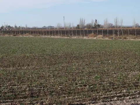 Finca en Venta Ugarteche Lujan de Cuyo