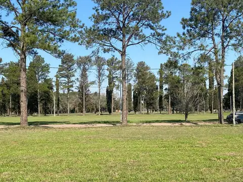 VENTA TERRENO LOS MOLINOS 600M2