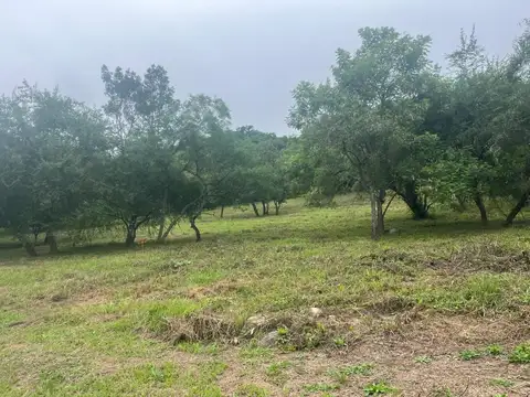 Terreno en Venta en La Hoyada De Castellanos De San Lorenzo, USD 214.000