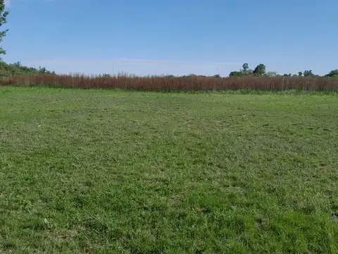 Terreno en venta en Parana calle poeta jose eduardo seri, (zona almafuerte charrua)