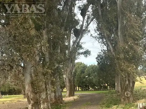 VENTA - CAMPO DE PRIVILEGIO - 25 HECTAREAS