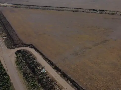 Campo agrícola en Maciel