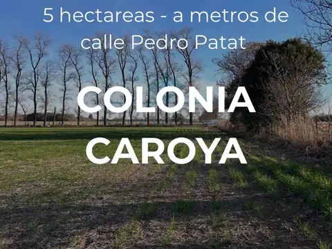 VENTA-QUINTA 4.5HAS- COLONIA CAROYA