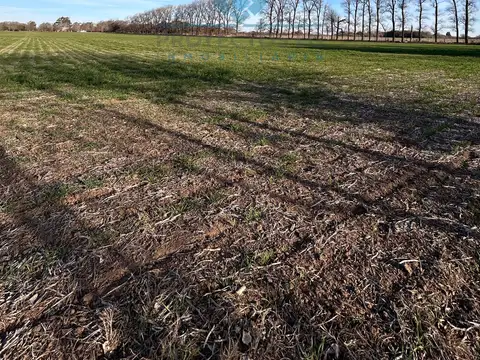 VENTA-QUINTA 4.5HAS- COLONIA CAROYA