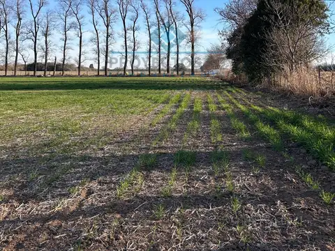 Quinta en Venta en Colonia Caroya, USD 135.000