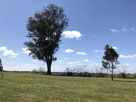 Terreno en Venta en Canning, USD 49.000