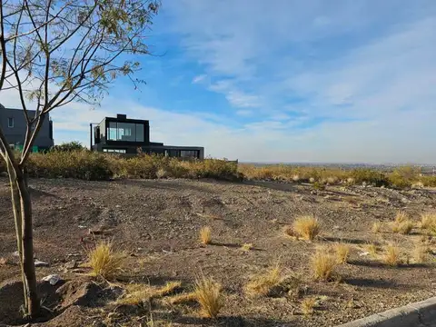 Los Cactus Lote 015 100