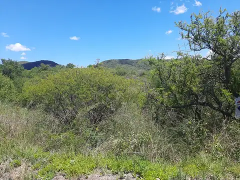 Terreno en Venta en Segunda Usina, USD 12.000