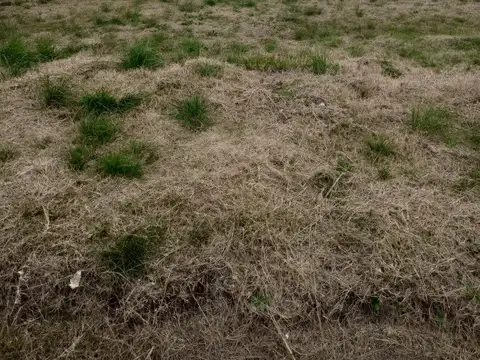 Terreno en Venta 27  mts Fondo