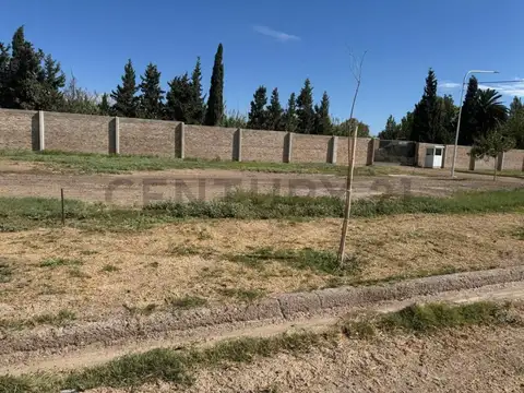 Terreno en Venta en El Sauce, USD 15.000