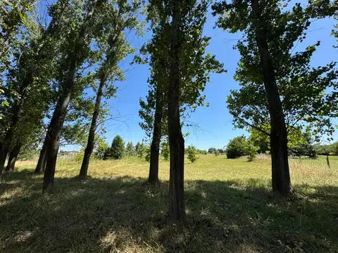 Terreno en Venta de 5238,0 m2