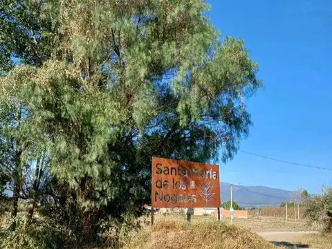 Terreno en Venta de 350,0 m2