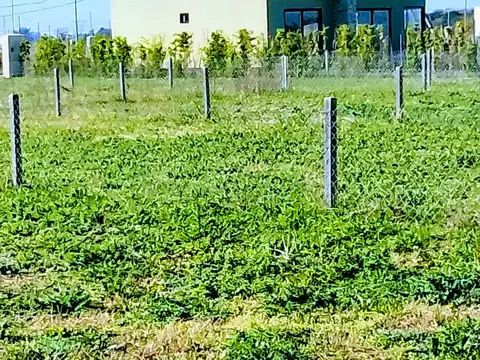 Terreno en Venta de 300,0 m2
