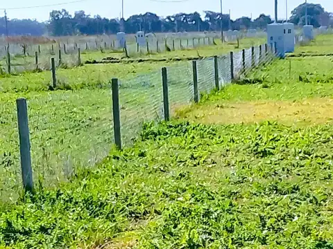 Terreno en Venta en General Rodriguez, USD 15.000