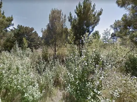 Calle 31 E/ Miramar y Ncochea 100