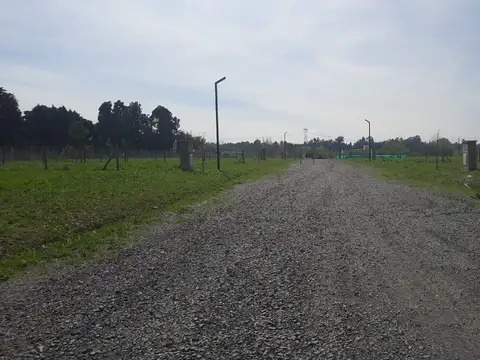 ricardo guiraldes 1500