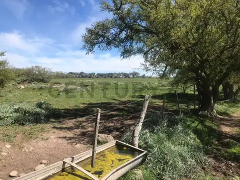 Campo en venta en Magdalena