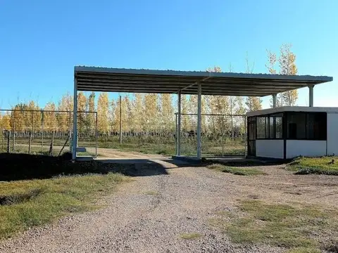 LOTE EN VENTA– BOSQUES DE CAPIZ, ECO COUNTRY