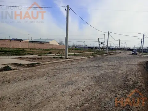 rosa mosqueta y lamarque