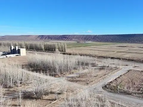 LOTE EN VENTA LA FORESTADA, AÑELO, VACA MUERTA