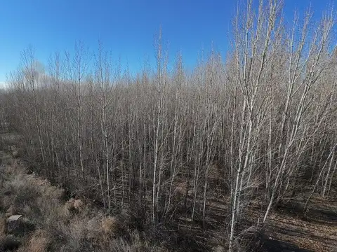 Terreno en Venta de 540,0 m2