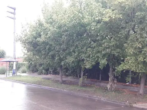 Terreno - Venta - Argentina, San Miguel - Av. Blasco Iba?ez 