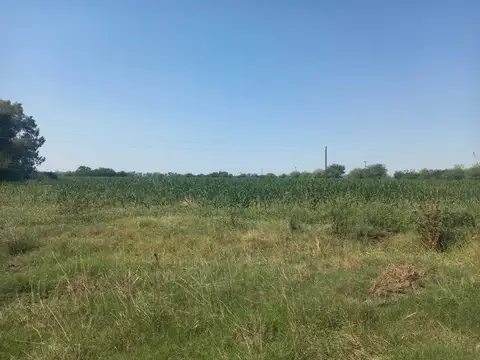 26 HECTAREAS AGRICOLAS EN LAS CHACRAS