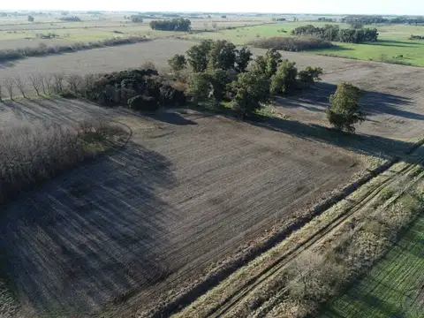 26 HECTAREAS AGRICOLAS EN LAS CHACRAS