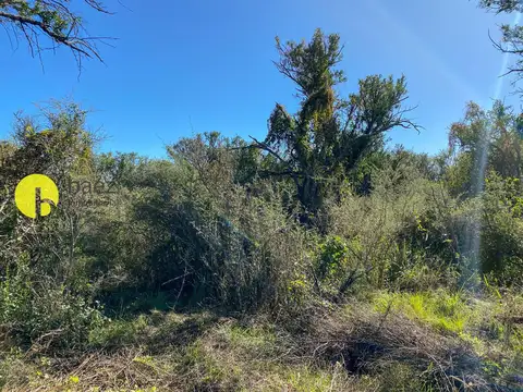 Terreno en Venta en Carpinteria, USD 12.000