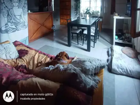 Departamento en Punta Mogotes