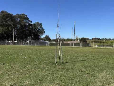 Terreno en Venta en Barrio Arenas Chico, USD 40.000