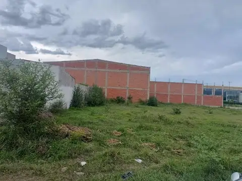 San Lorenzo Chico. Septiembre. Mza 88. Lote 100