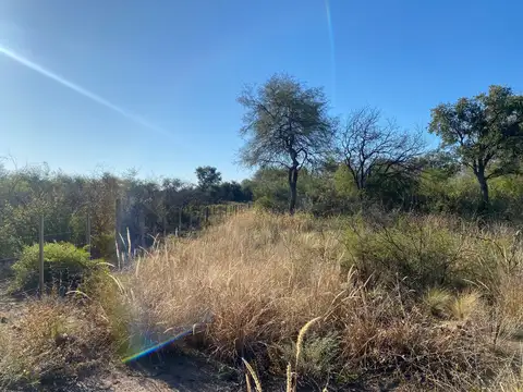 Terreno en Venta de 1000,0 m2