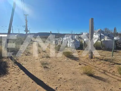 LOTE DE 367 MTS ESQUINA. LOTEO AMEDEA