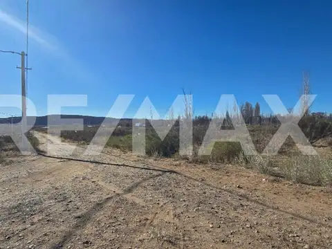 Terreno en Venta en Plottier, USD 6.500