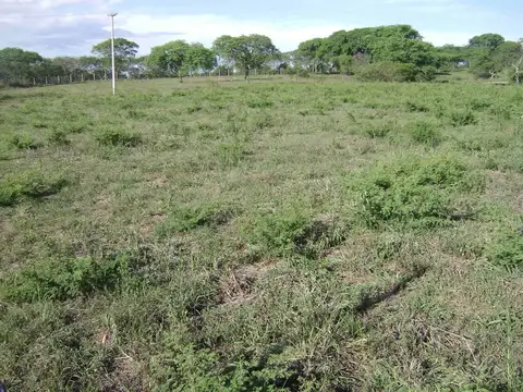 Terreno en Venta, FOT 55